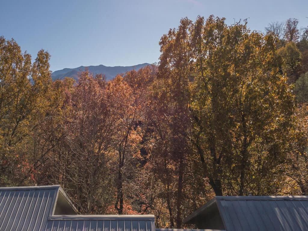 Sasquatch Lodge E Sleeps 13 Gatlinburg Bagian luar foto